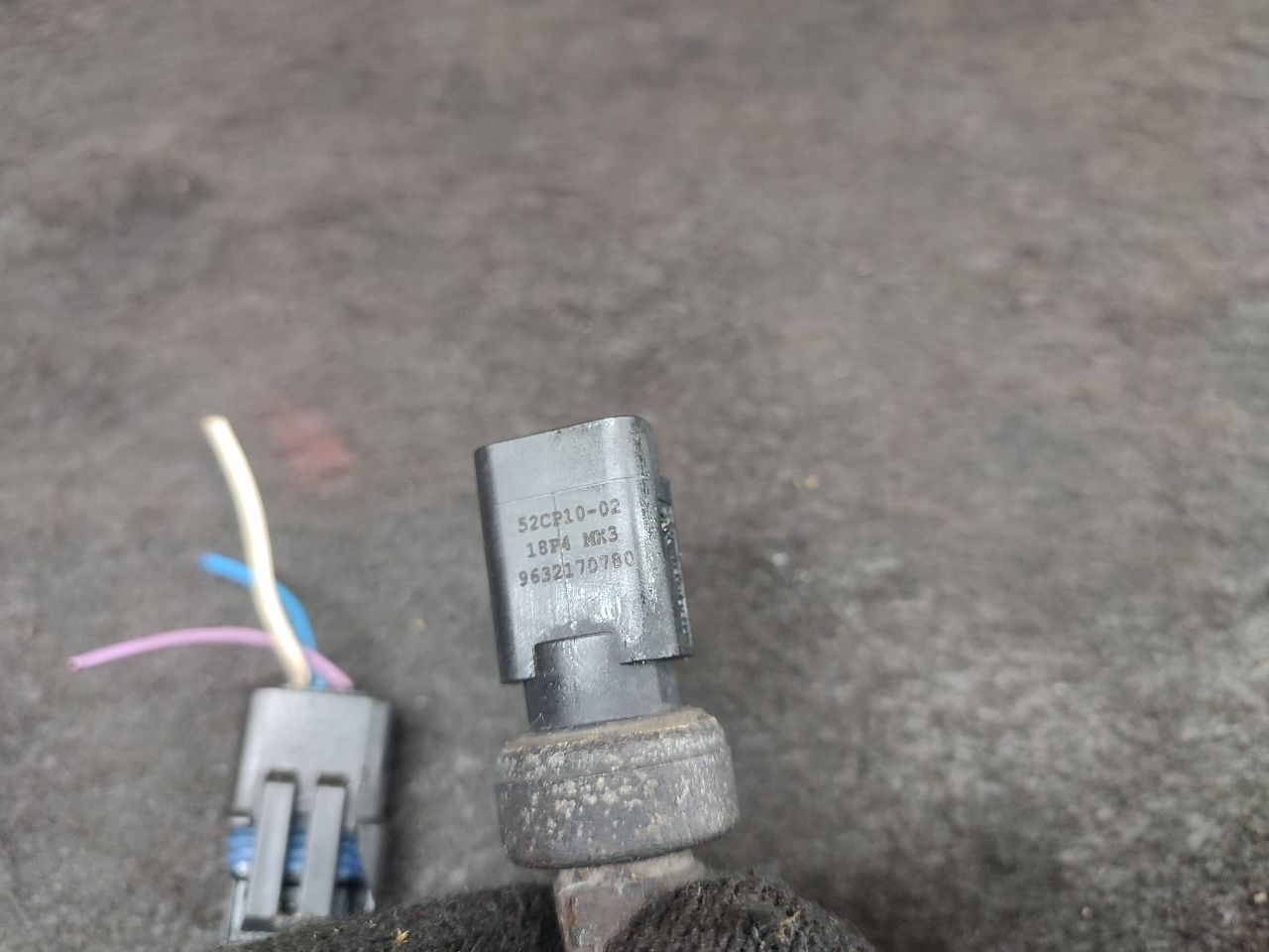 thumb