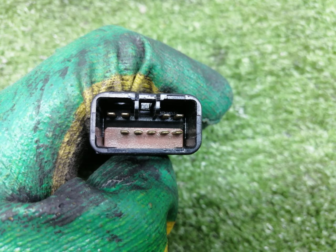 thumb