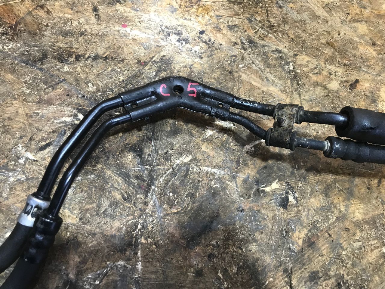 thumb