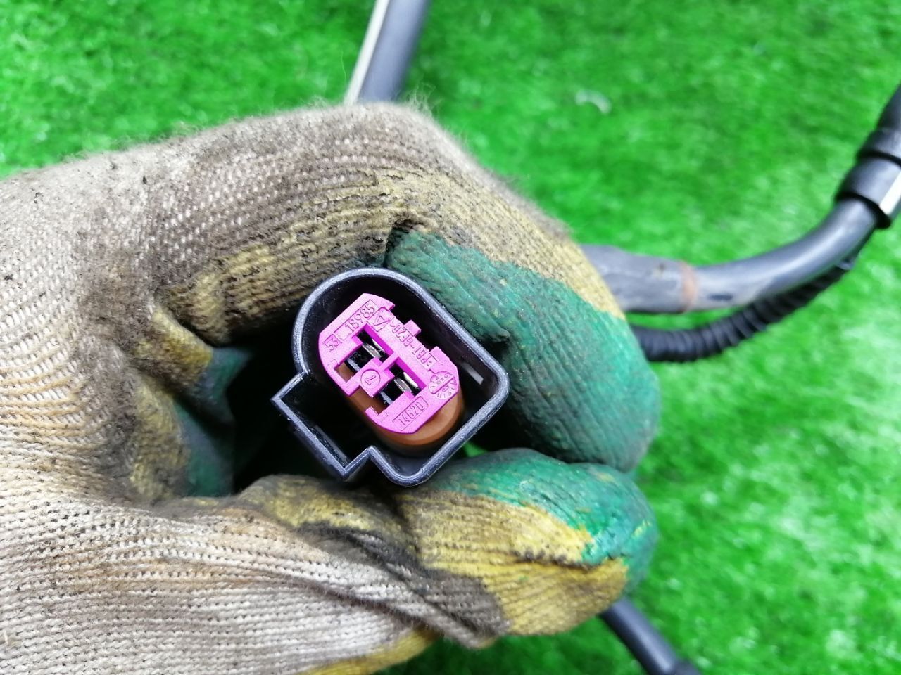 thumb