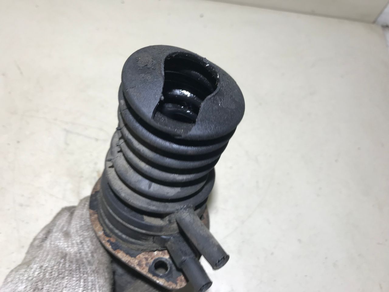 thumb