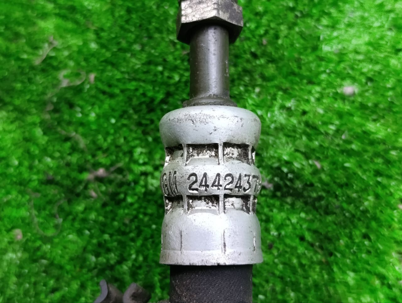 thumb