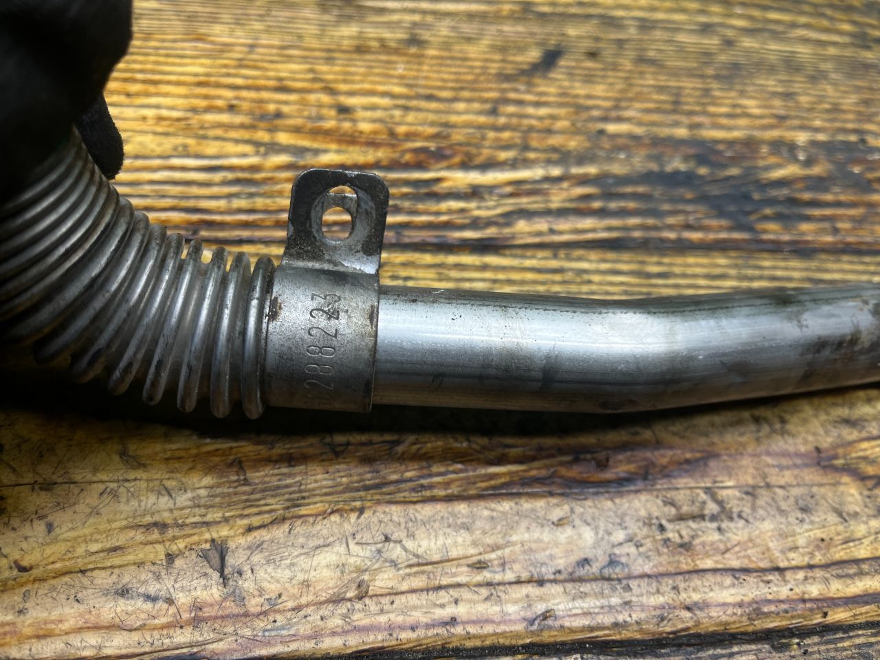 thumb