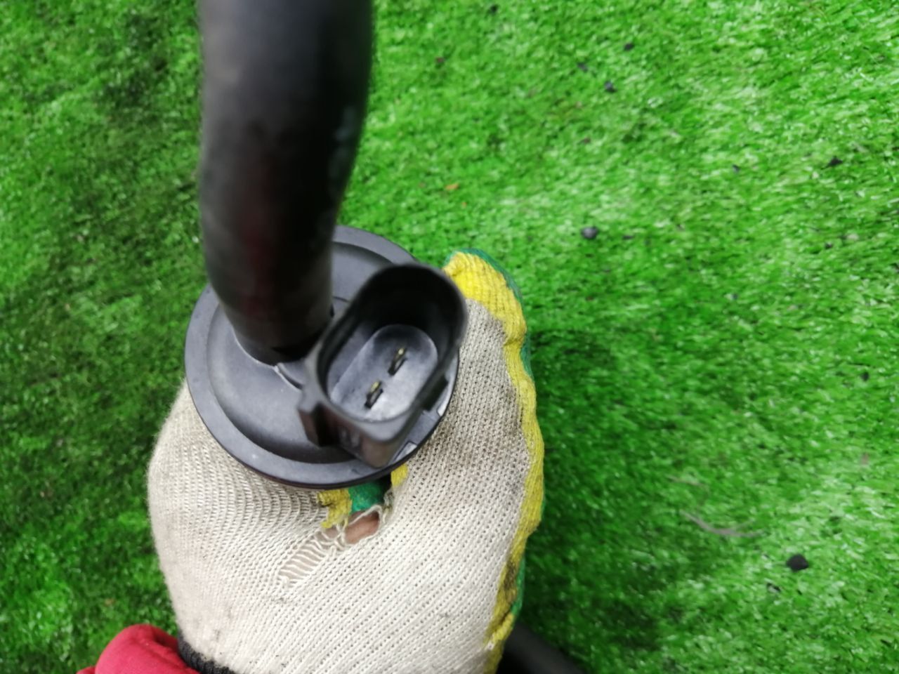 thumb