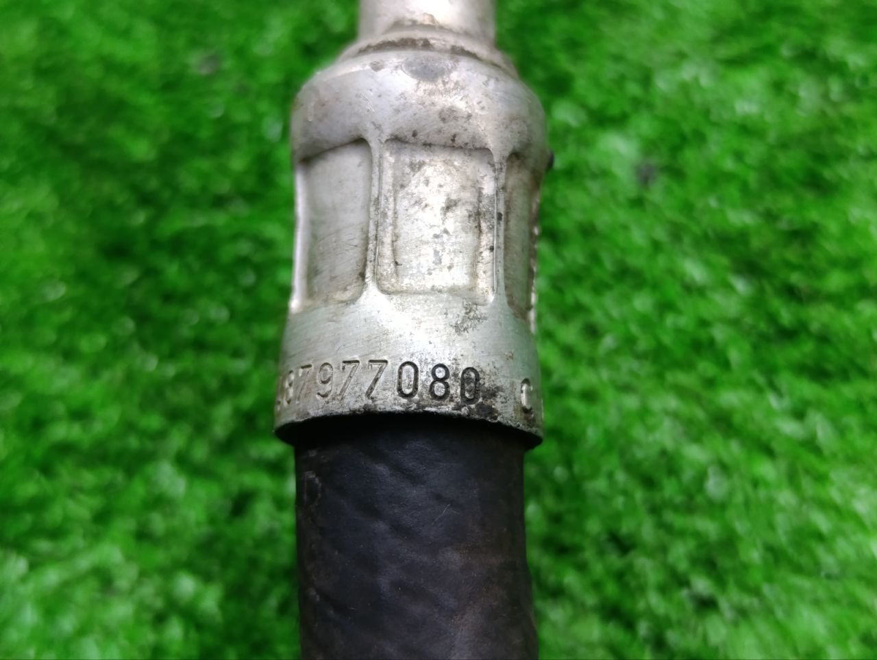 thumb