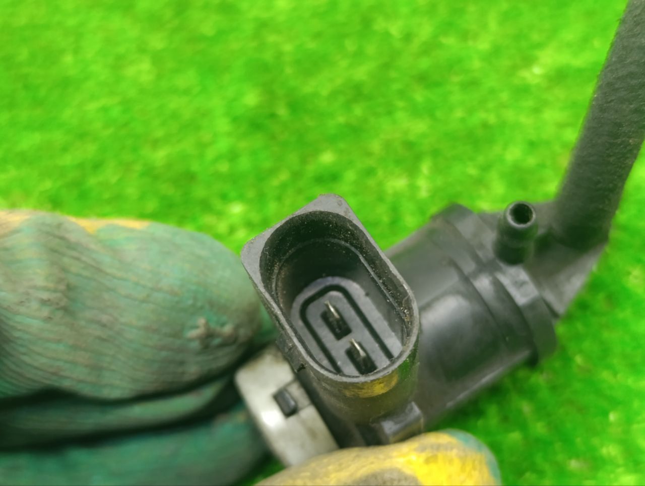 thumb