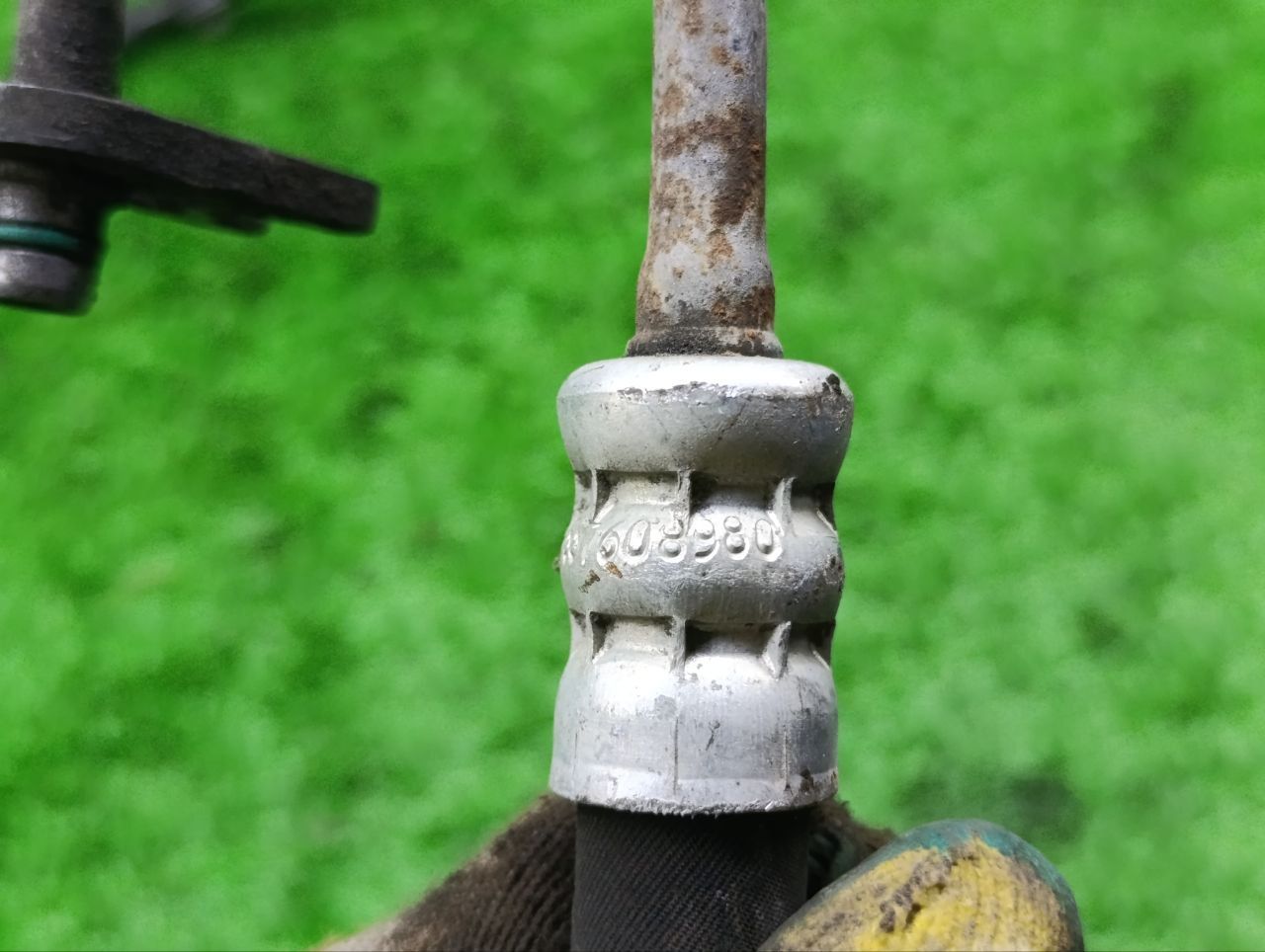 thumb
