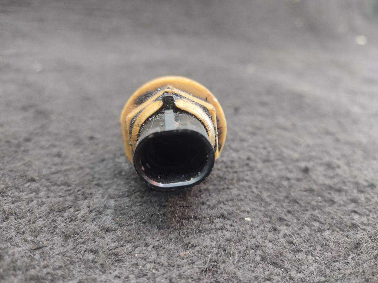 thumb
