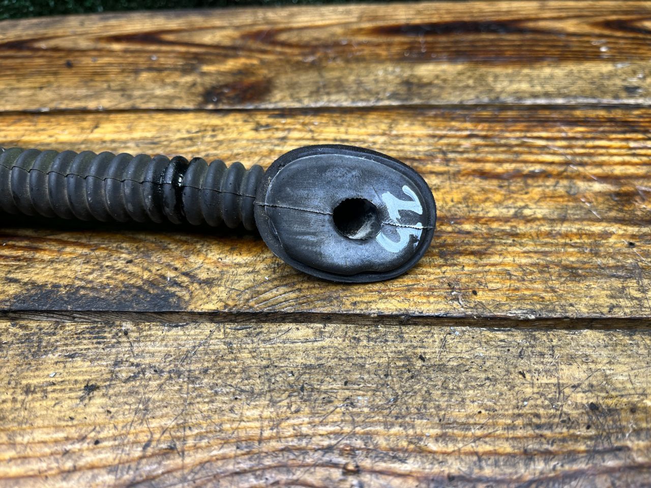 thumb