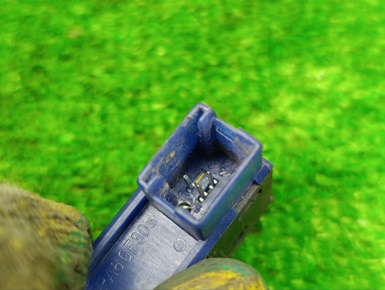 thumb