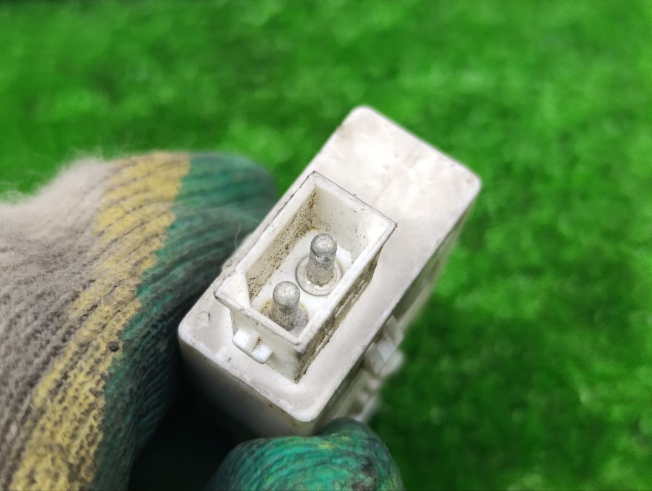 thumb