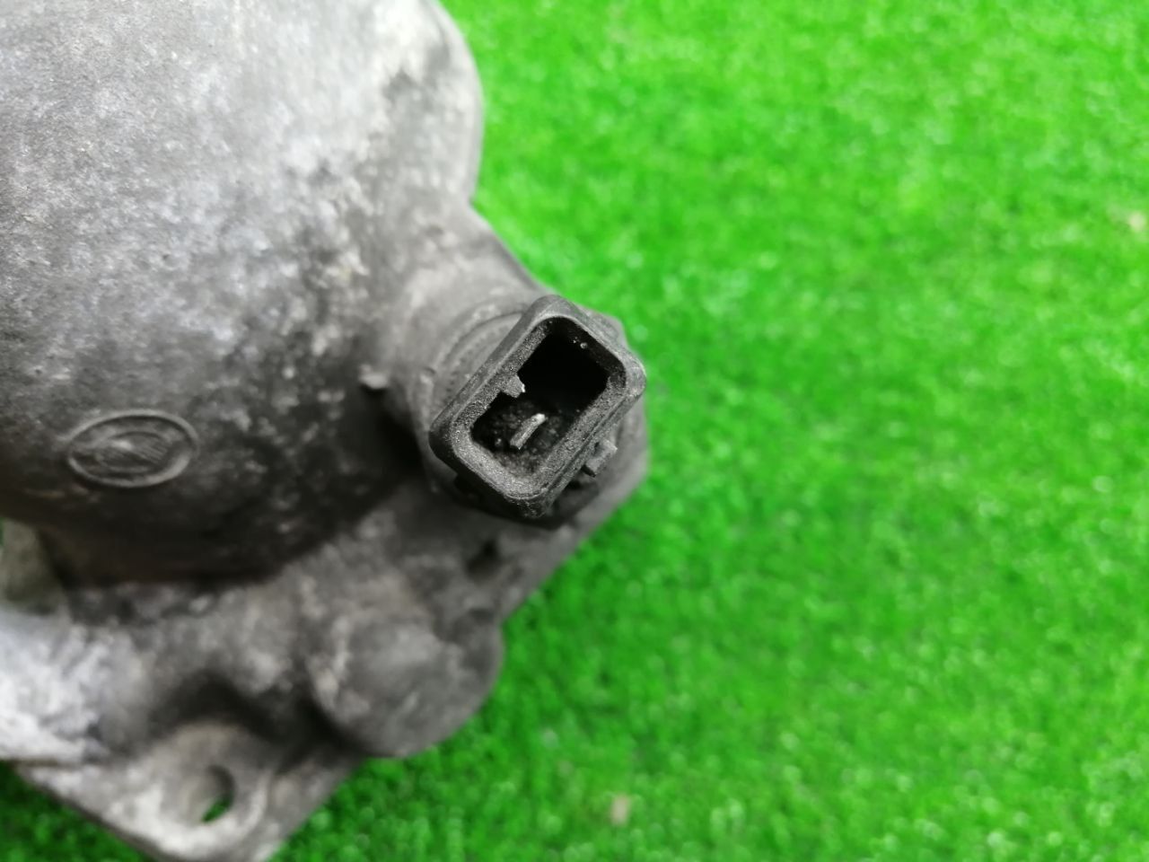 thumb