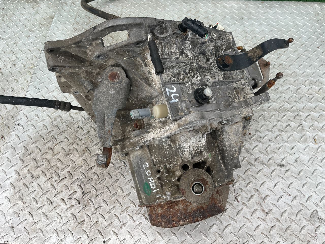thumb