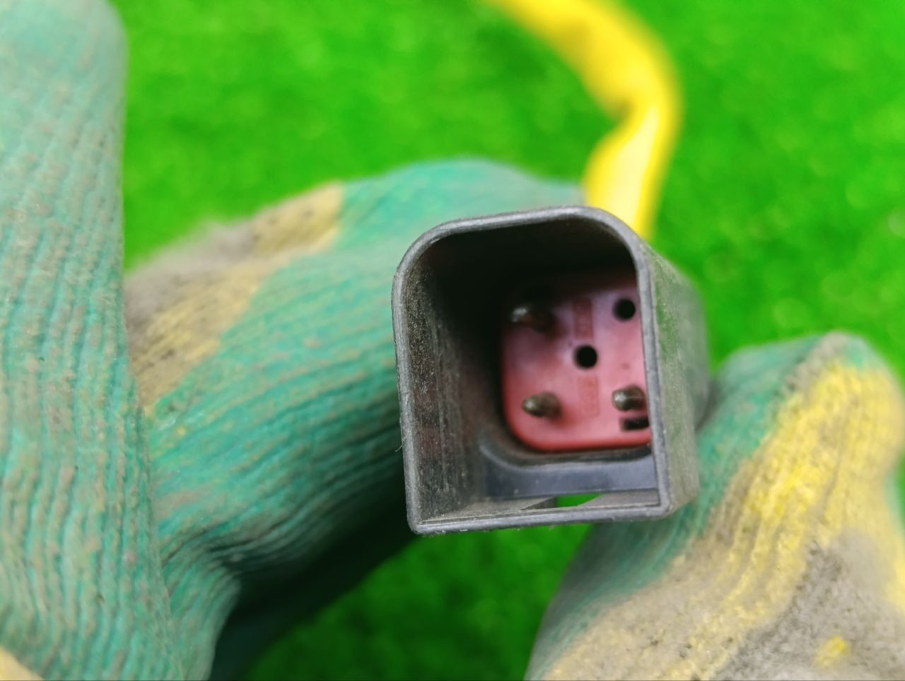 thumb