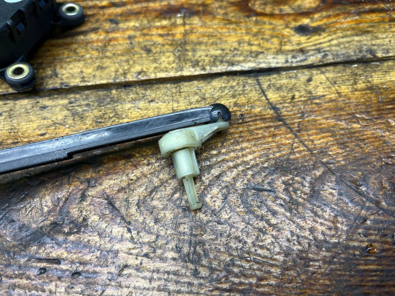 thumb