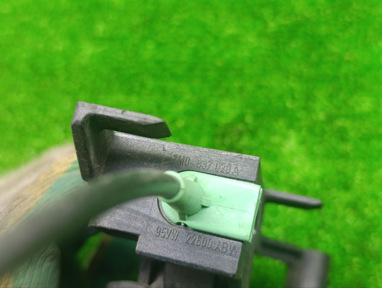 thumb