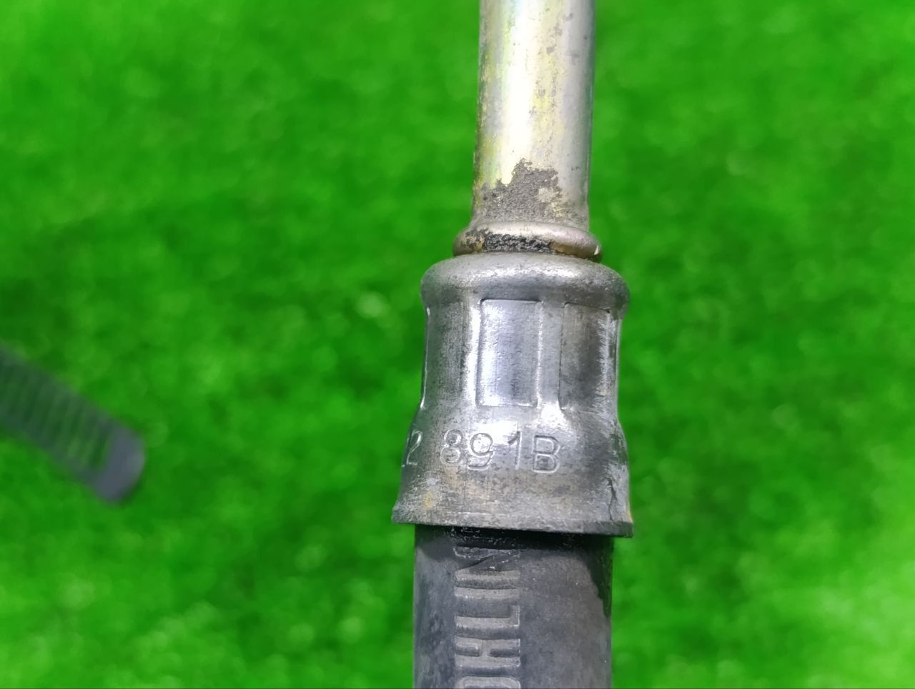 thumb