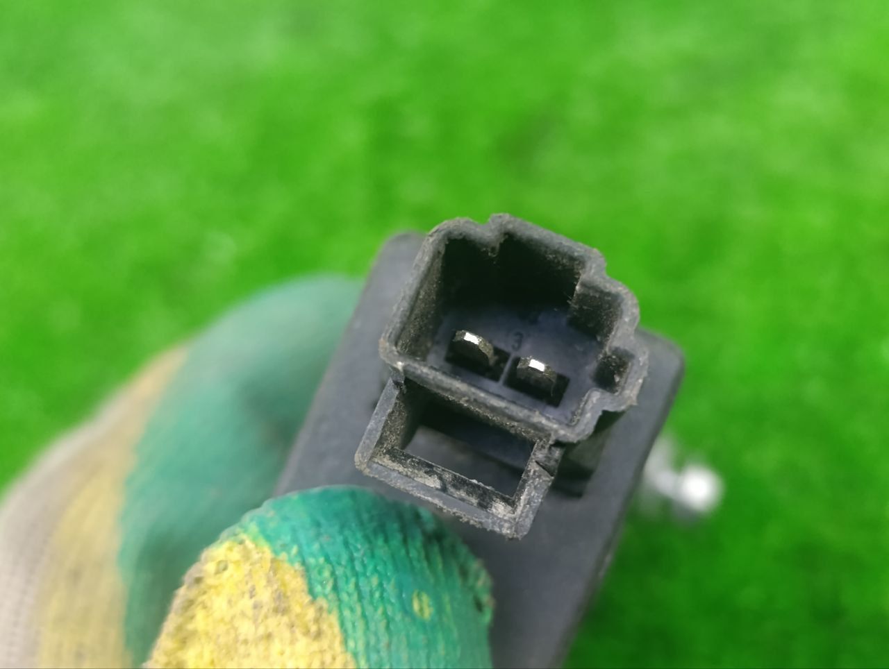 thumb