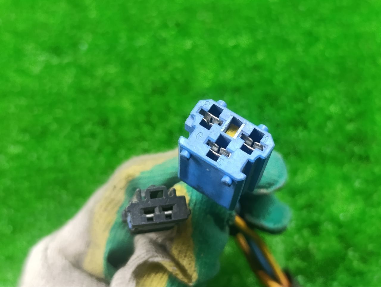 thumb