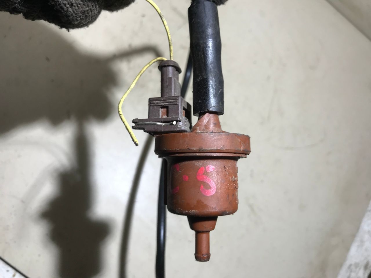thumb