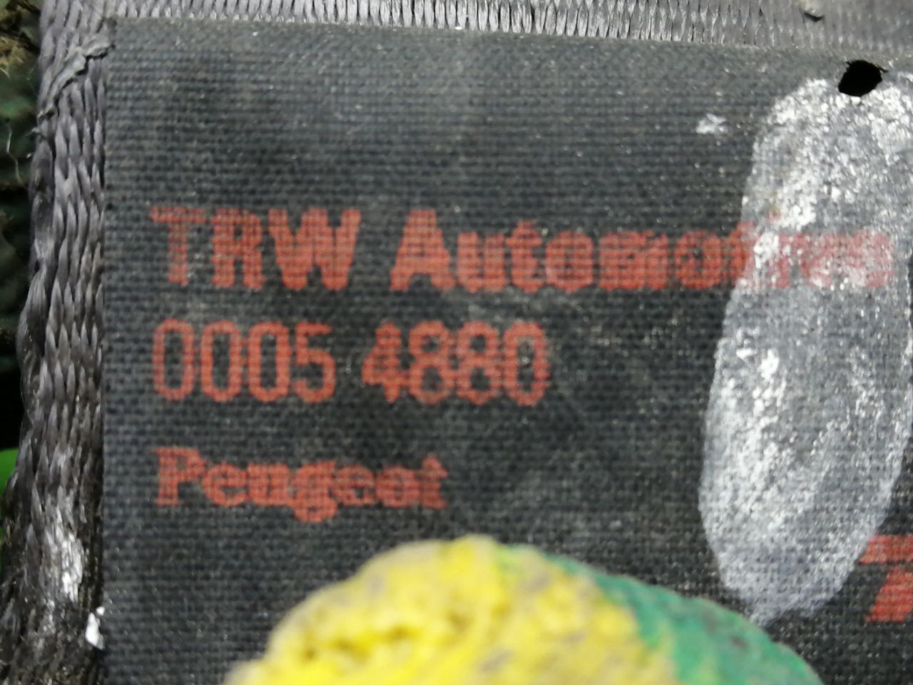 thumb