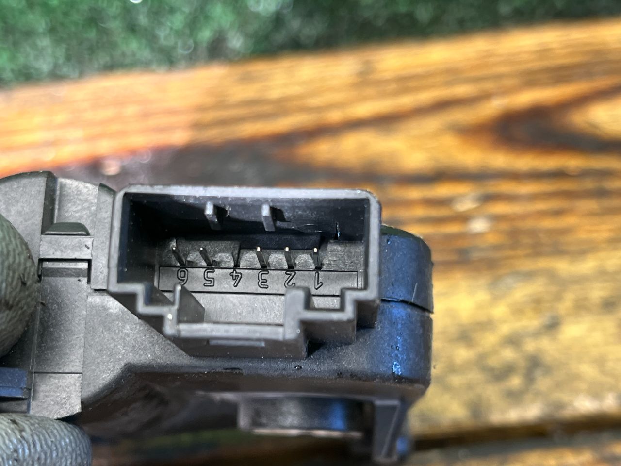 thumb