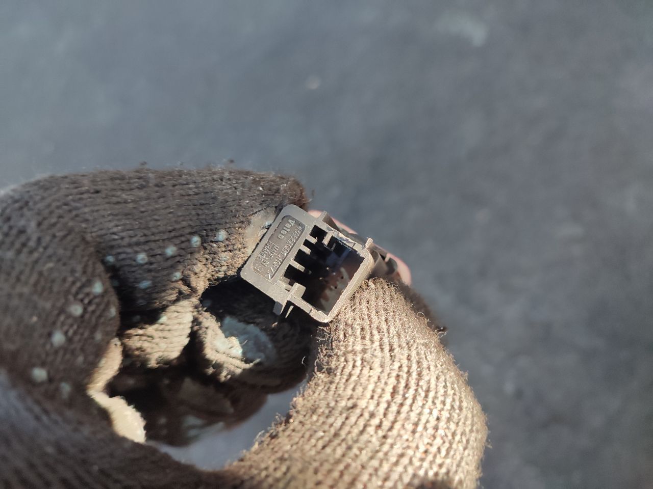 thumb