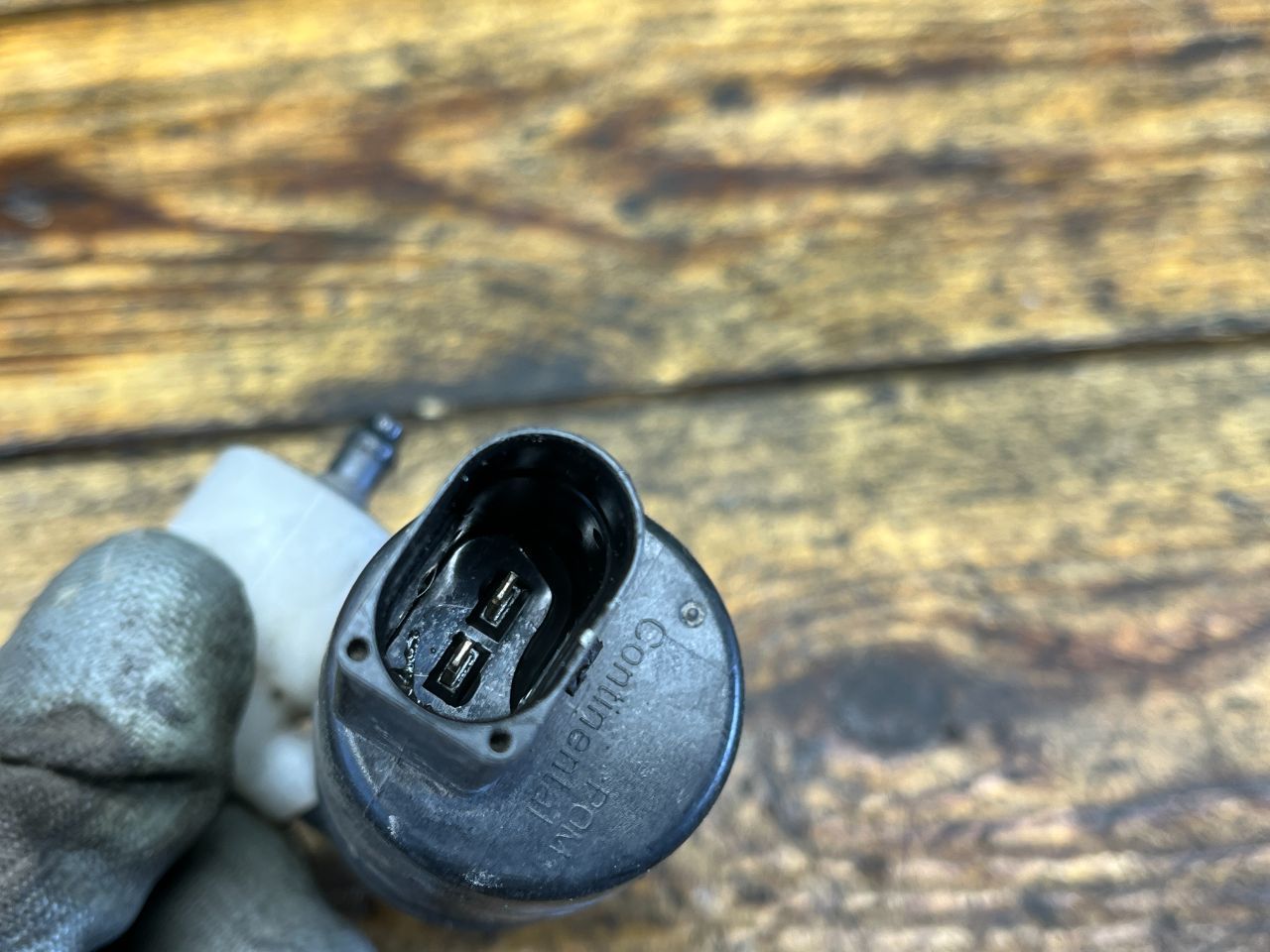 thumb
