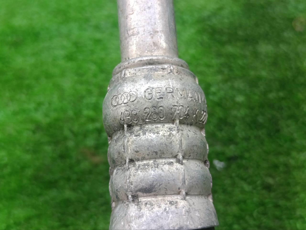 thumb