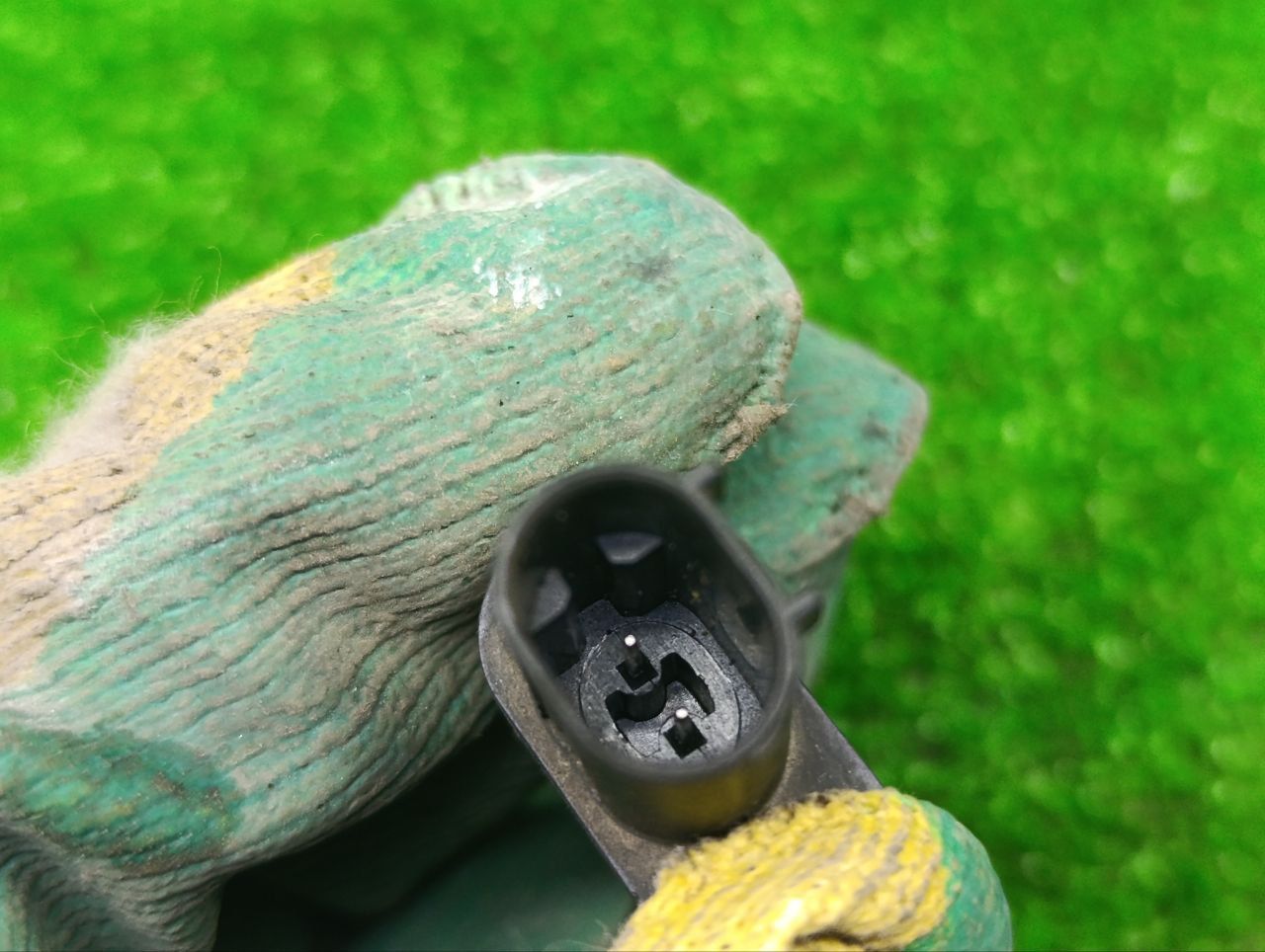 thumb
