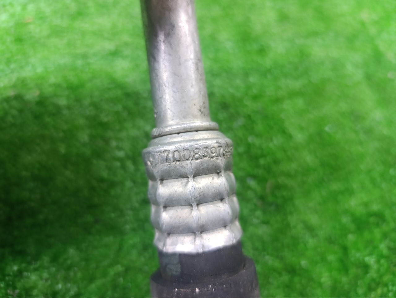 thumb