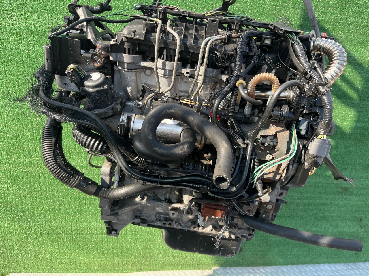 Двигатель Ford Focus 1.6л 2006 — фото 7