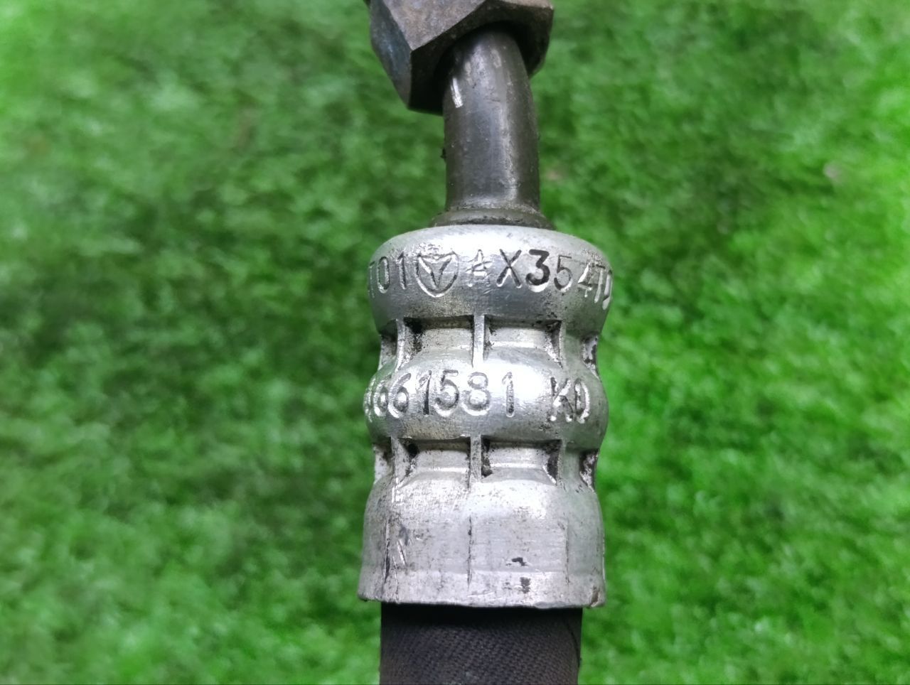 thumb