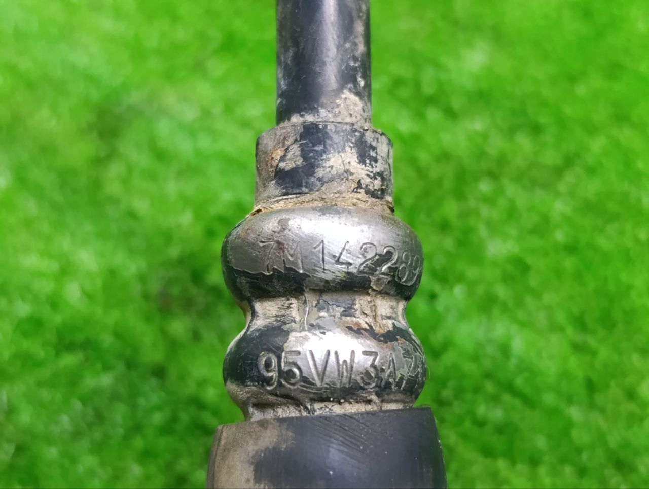 thumb