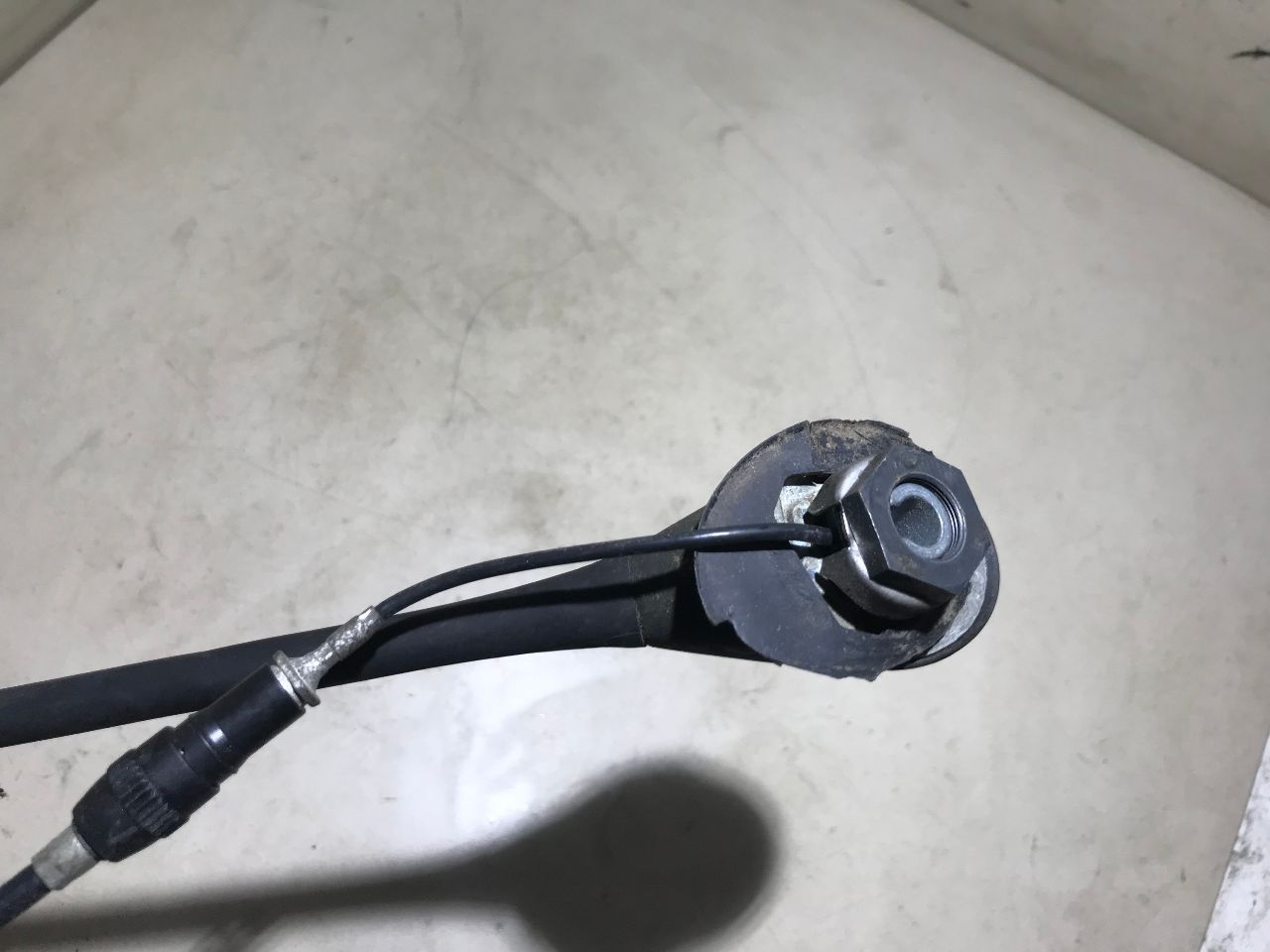 thumb