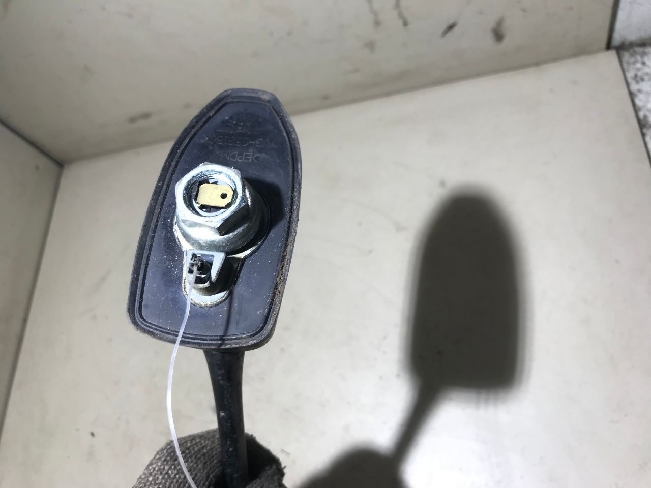 thumb