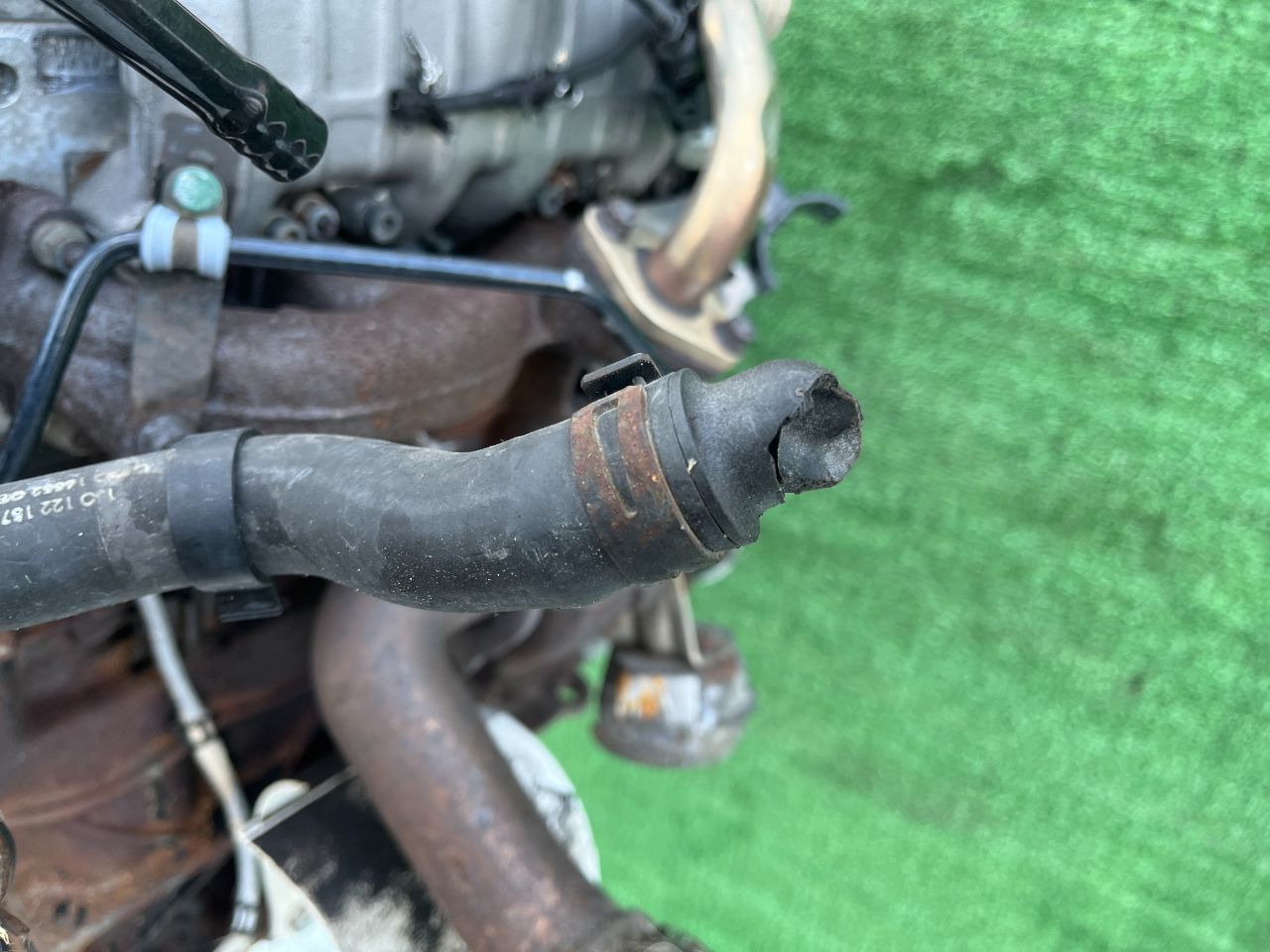 thumb