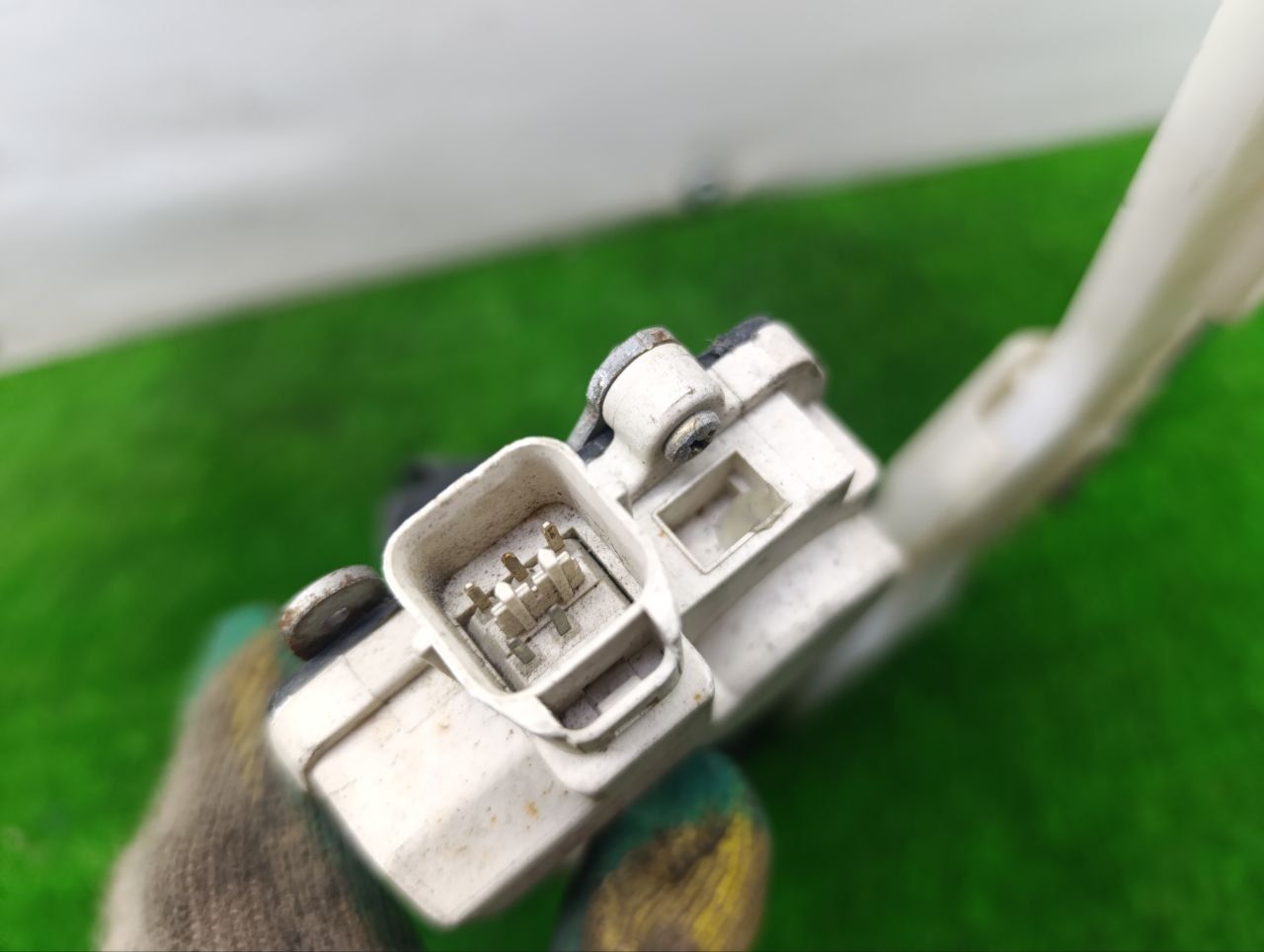 thumb