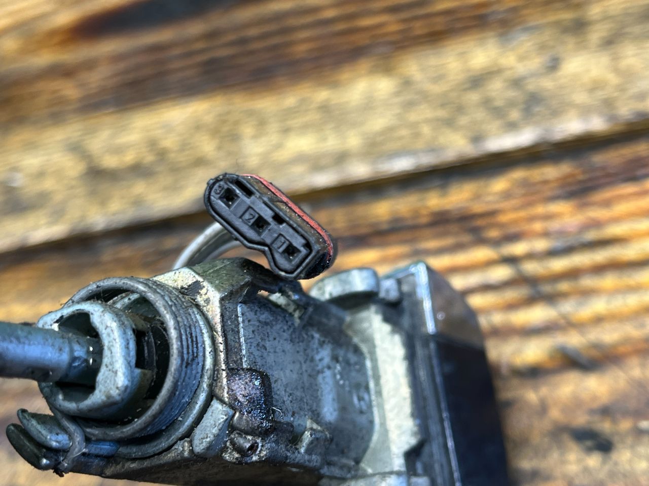 thumb