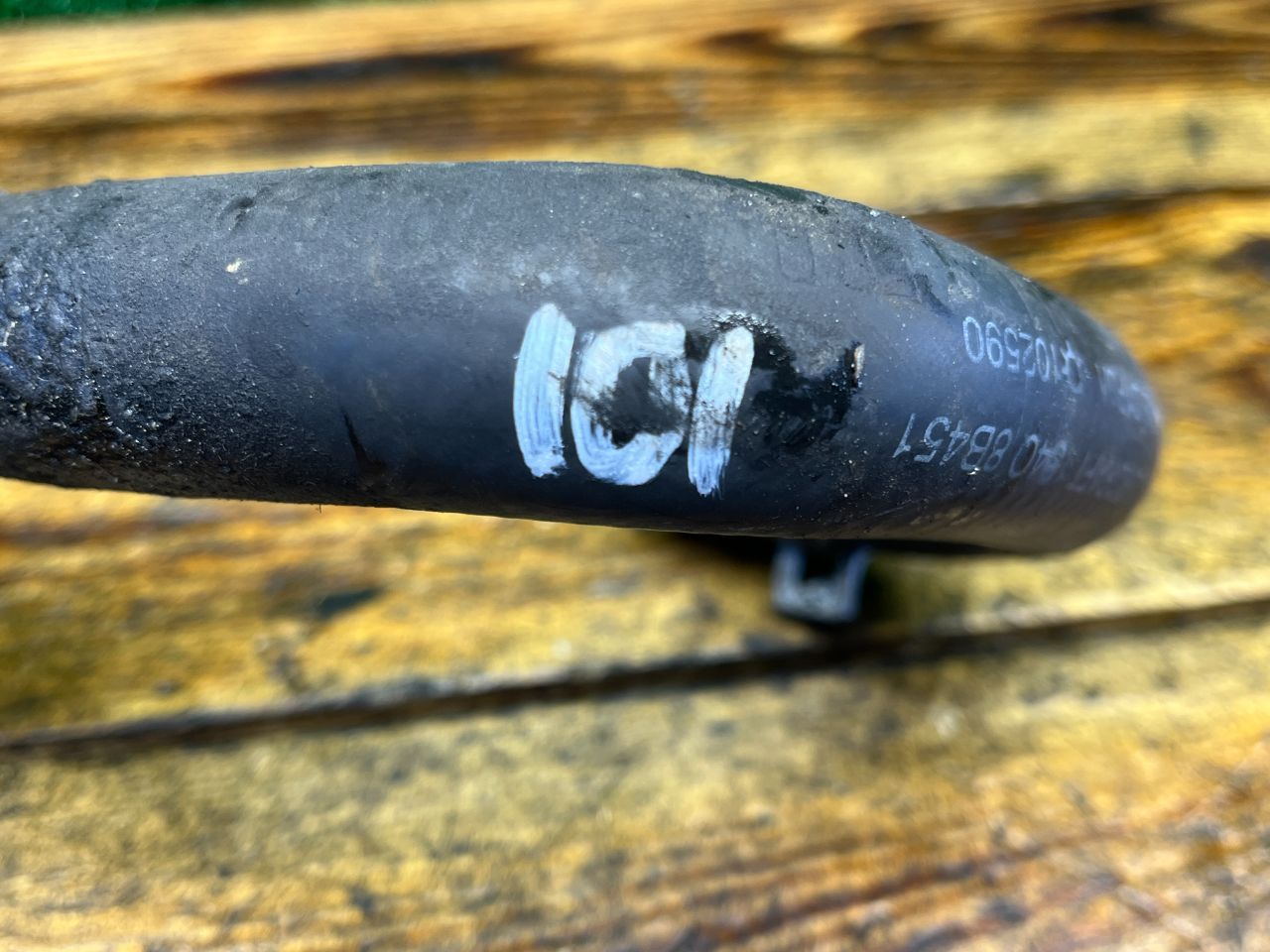 thumb