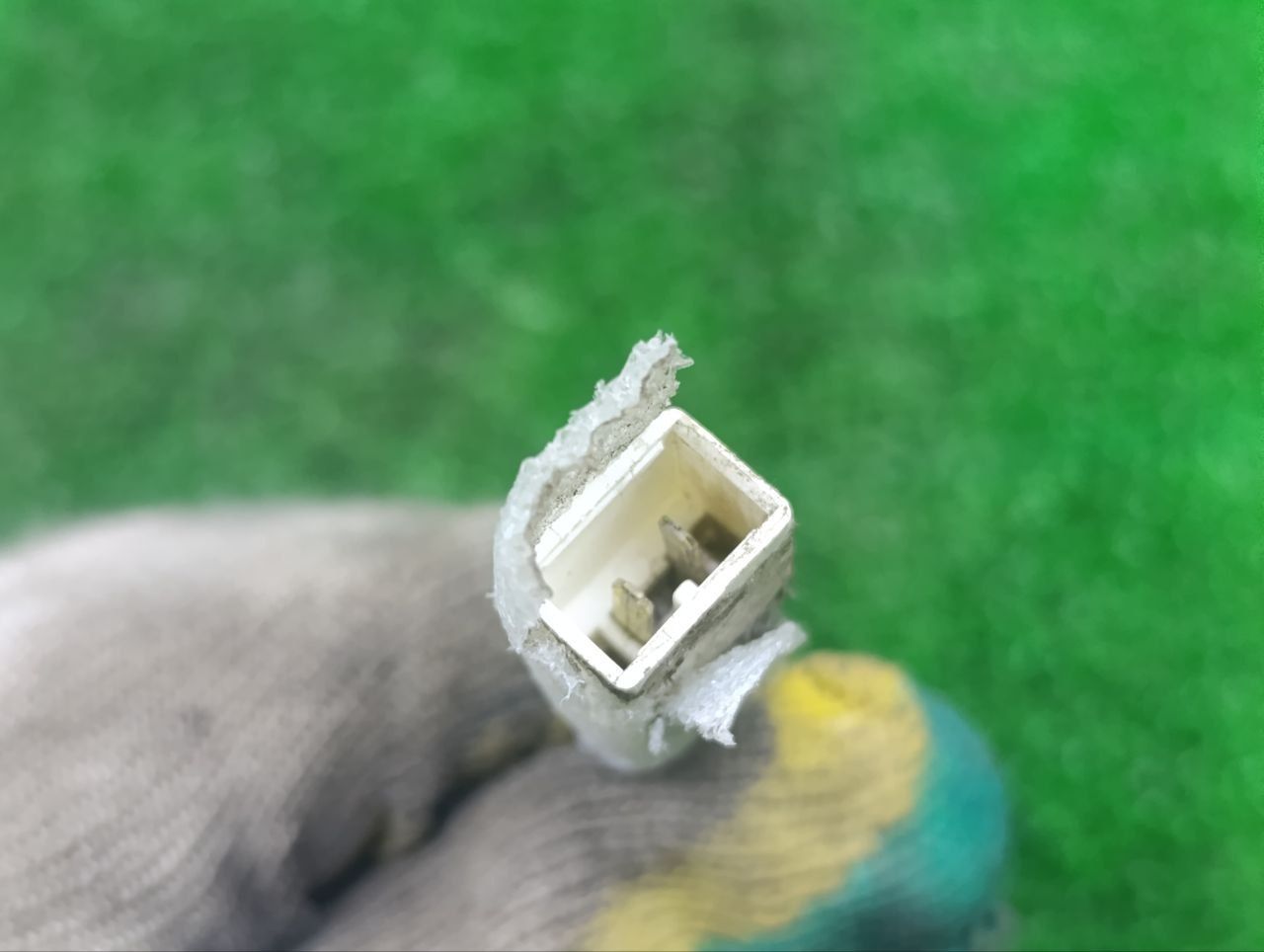thumb