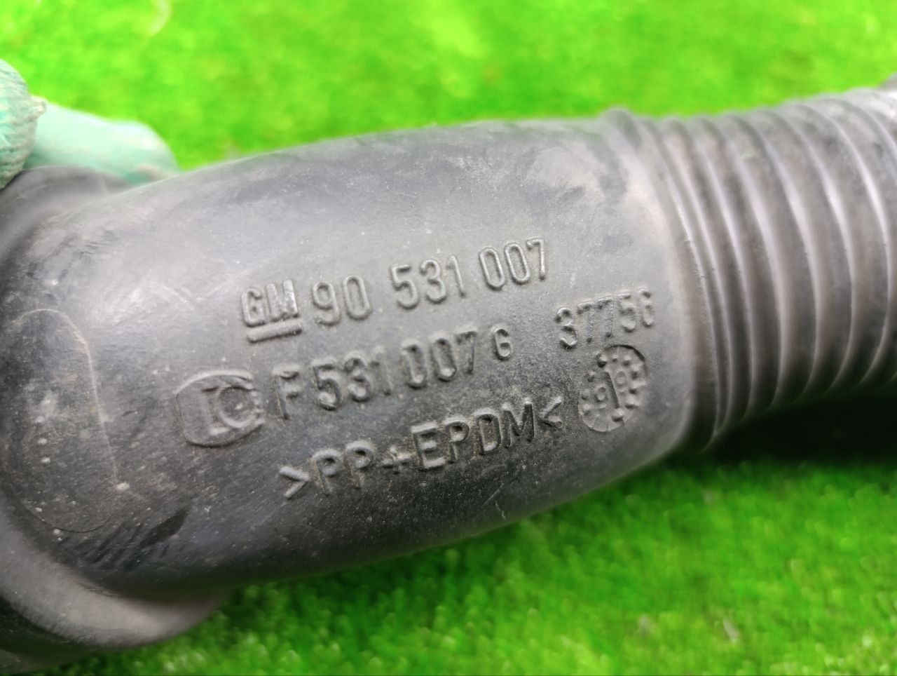 thumb