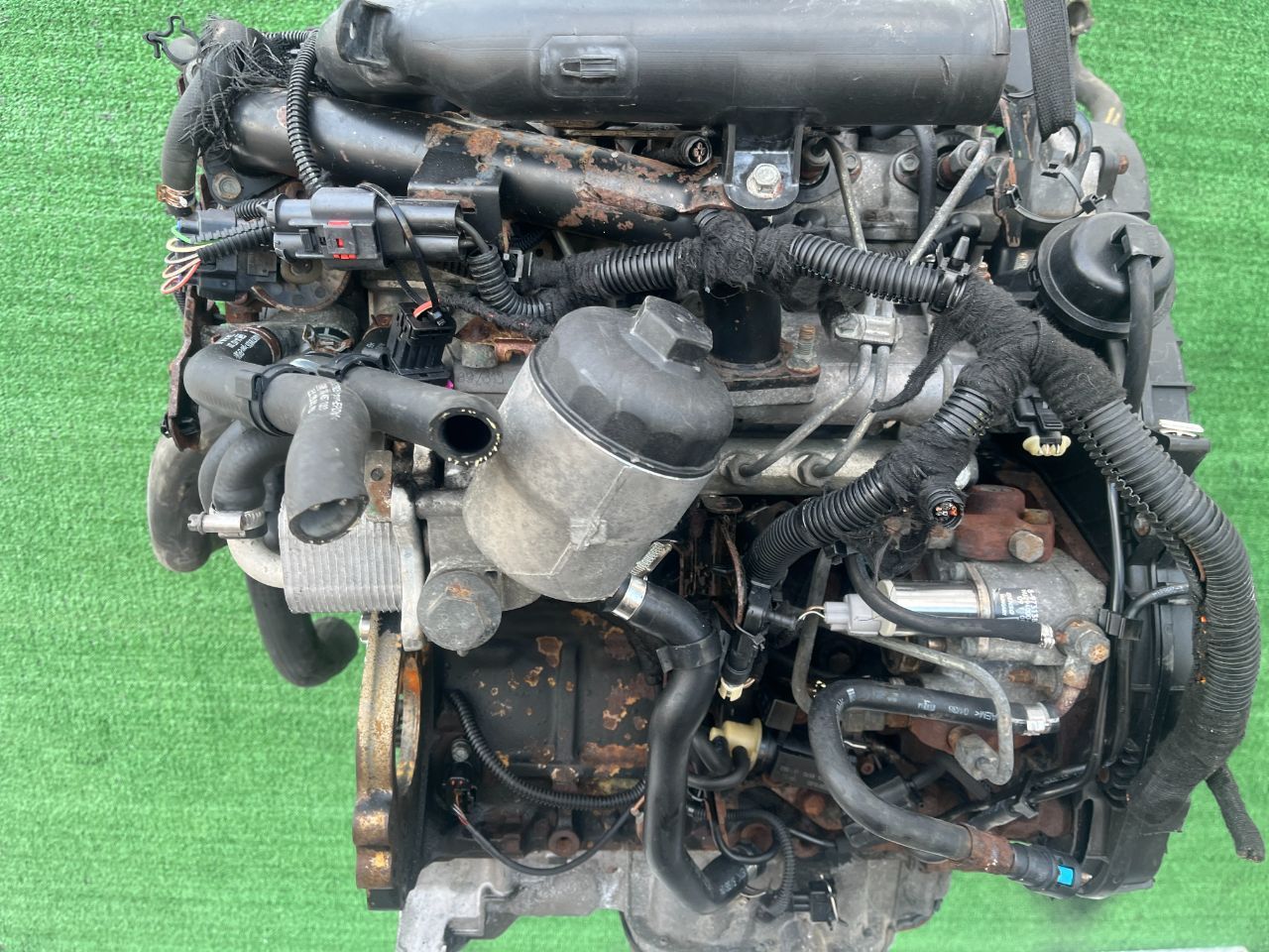 Двигатель Opel Astra 1.7л 2005 — фото 5