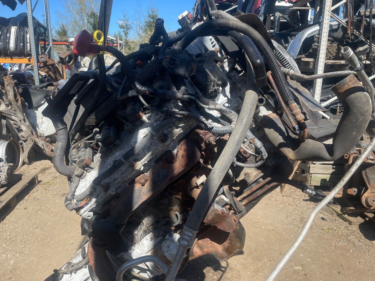 thumb