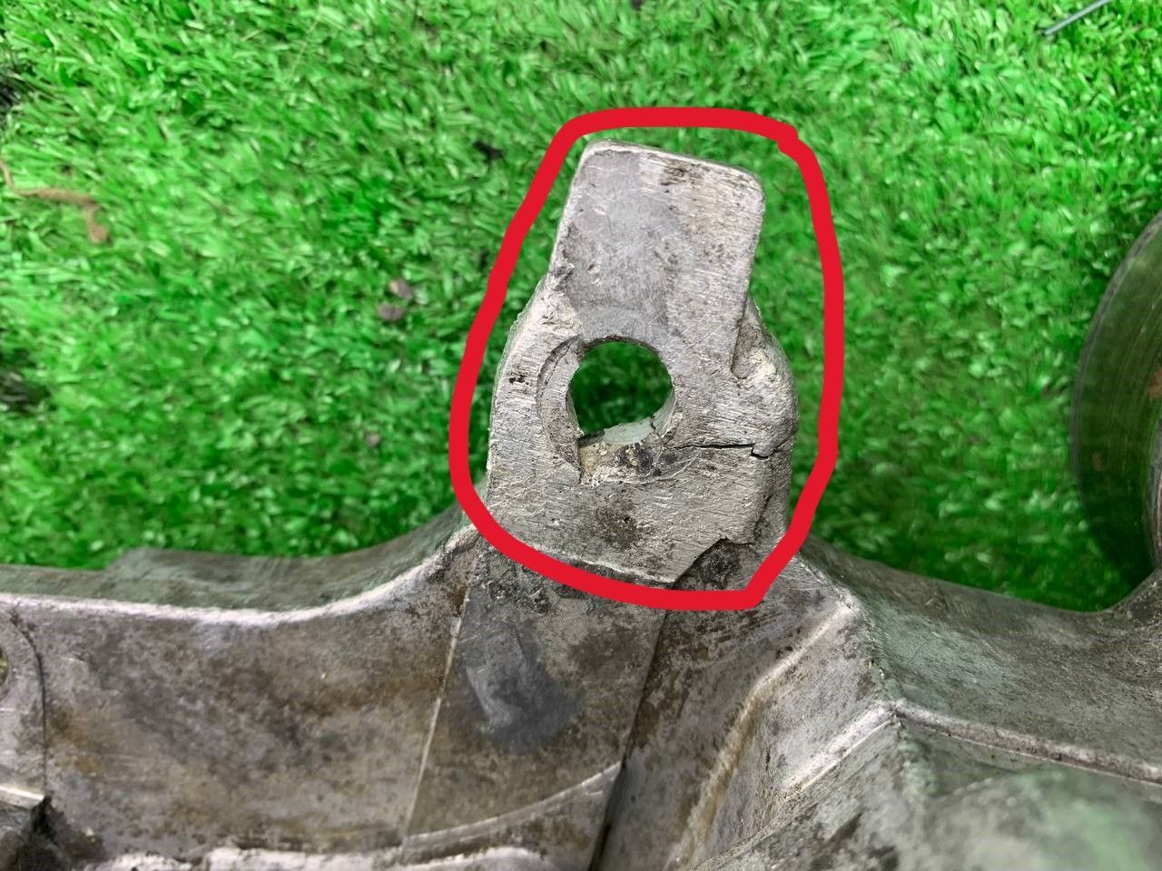 thumb