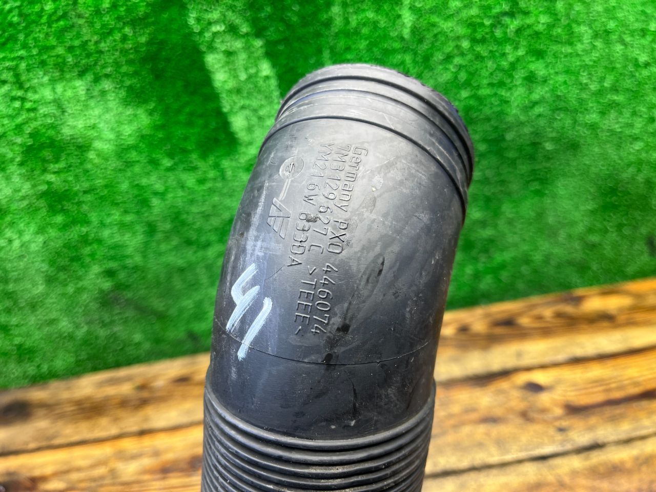 thumb