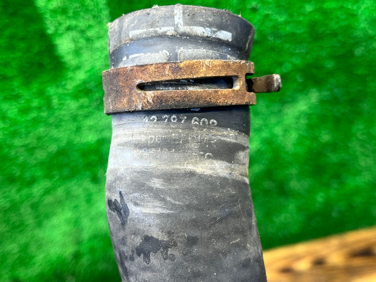 thumb