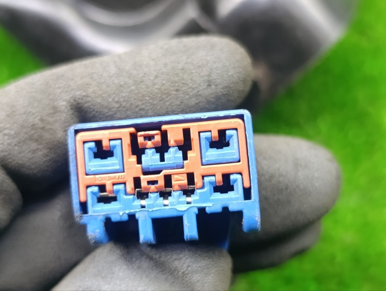 thumb