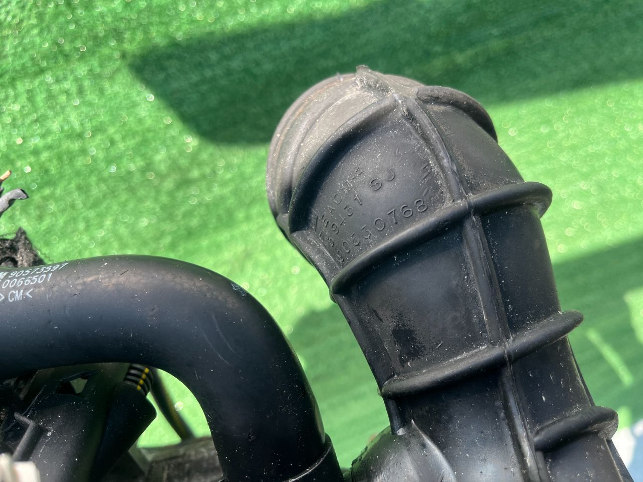 thumb