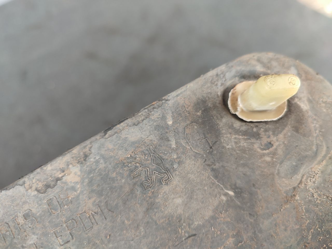 thumb